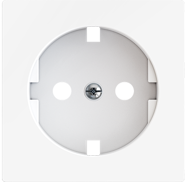 1628518902_830000408_ZS55_sch_socket_cover-GW